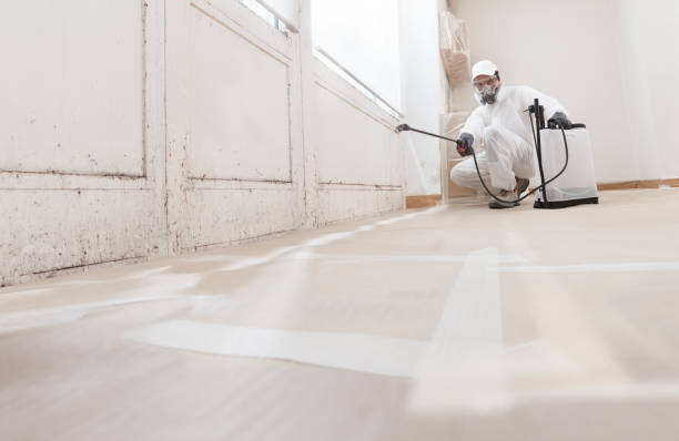 24/7 Emergency Mold Remediation experts in Canyon Lake, TX